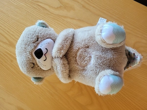 Fisher Price Schlummerotter