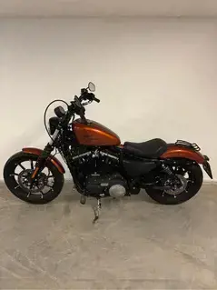 Harley Davidson Iron 883 Bild 3