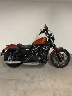 Harley Davidson Iron 883 Bild 4