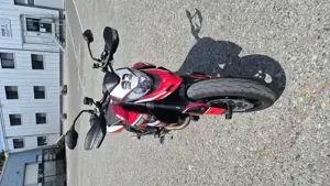 Ducati Hypermotard 950 Bild 5