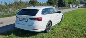 Skoda Octavia Bild 4