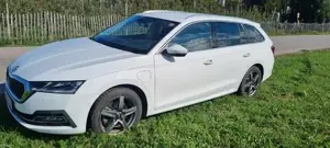 Skoda Octavia Bild 5