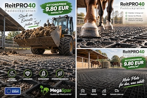 Paddockplatten & Paddockgitter kaufen - robuste Rasengitter für Paddocks und Reitplätze Bild 3