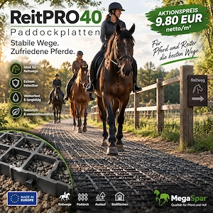 Paddockplatten & Paddockgitter kaufen - robuste Rasengitter für Paddocks und Reitplätze Bild 2