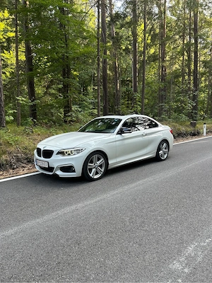 BMW 2er-Reihe 225d Coupé M Sport Aut. Sportwagen   Coupé Bild 2