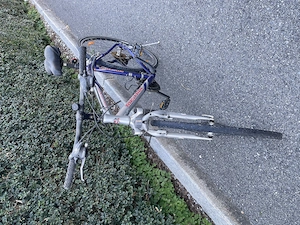 Zu verschenken   Mistral Fahrrad   Mountainbike   Bastlerzustand Bild 2