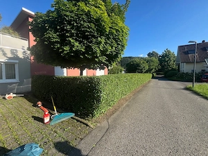 Übernehme alle Art von Garten arbeit