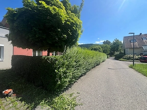 Übernehme alle Art von Garten arbeit Bild 8