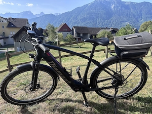Diamant Zouma Deluxe E-Bike in sehr gutem, gepflegtem Zustand Bild 3