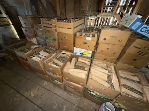 Ofenfertiges Hartholz   Brennholz in Bananenschachteln