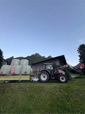 Fliegl Kipper Bild 2