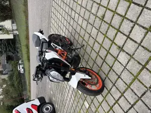 KTM 390 Duke Bild 4