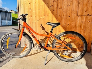 Naloo Chameleon 24 Zoll