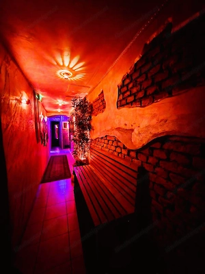 EXZESS! Gentlemen-Club Wien   Ladies, Bar & Private Rooms Bild 4