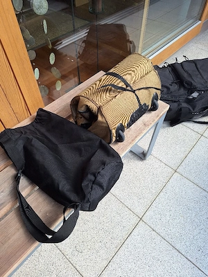 Reisetaschen mit Rollen Bild 5