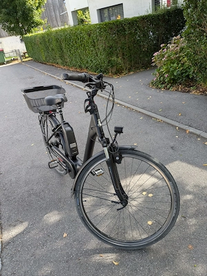 E-Bike Raleigh Kingston  Bild 2