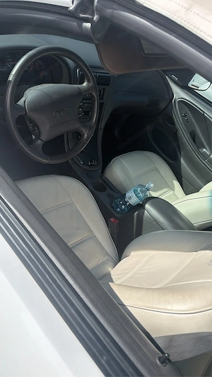 Ford Mustang Bild 5