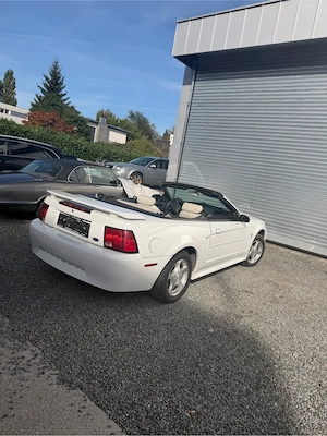 Ford Mustang Bild 4