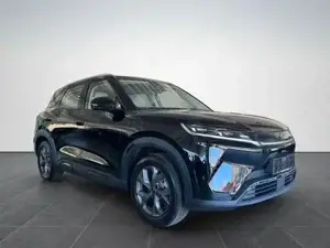 BYD Atto 2  Bild 2