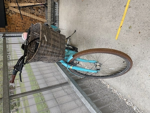 Ebike Victoria Retro  Bild 2