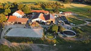 Liebevoller & pferdegerechter Beritt und Anreiten im Allgäu Bild 8