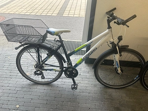 Damen Fahrrad zu verkaufen Bild 4