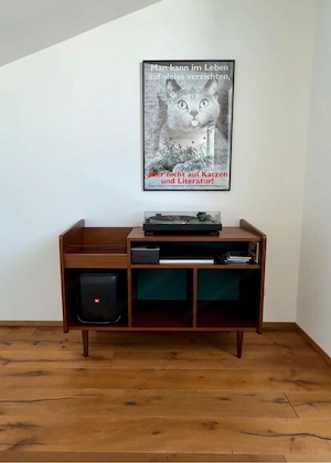 Plattenspieler-Regal Retro Stil Bild 2
