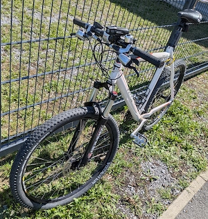 Mountainbike Procycle Superlight Bild 4
