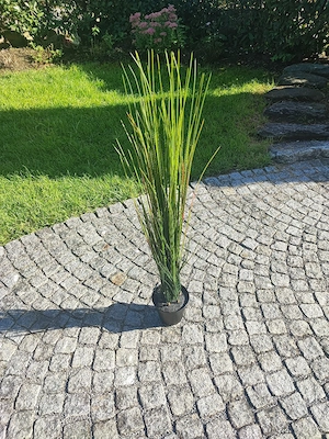 Topfpflanze künstlich