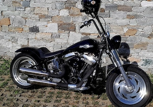 Harley Softail Custom 