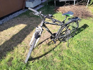 Fahrrad, KTM, LIFE Bild 4