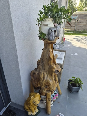 Rubinien Deko Holz Bild 3