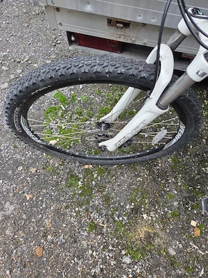 Mountainbike mit Scheibenbremse Bild 3