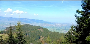 Suche eine wunderbare frau Bild 2