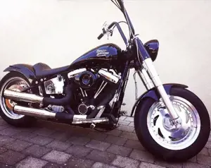Harley Davidson Softail Custom  Bild 2