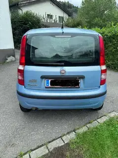 Fiat Panda 169 Bild 5