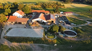 Rehabilitation & Erholung für Pferde mit Equinem Asthma im Allgäu Bild 6