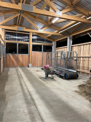 Rehabilitation & Erholung für Pferde mit Equinem Asthma im Allgäu Bild 9