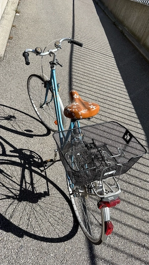 Fahrrad zu verschenken Bild 2