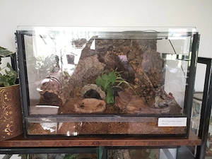 Terrarium  Bild 2