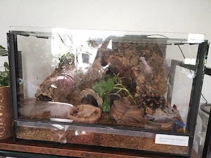 Terrarium  Bild 3