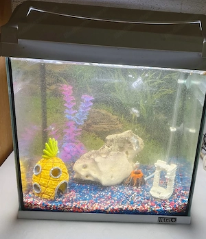  Aquarium  Bild 4