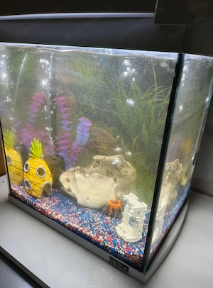  Aquarium  Bild 5