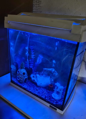  Aquarium  Bild 2