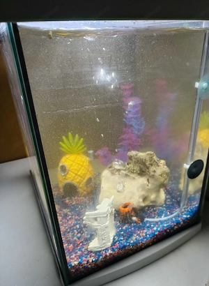  Aquarium  Bild 3