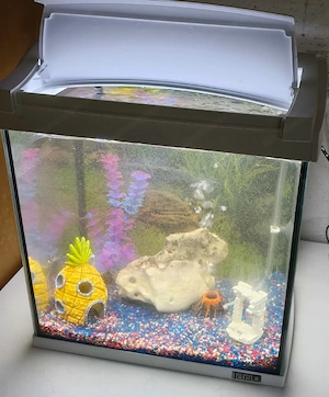  Aquarium 