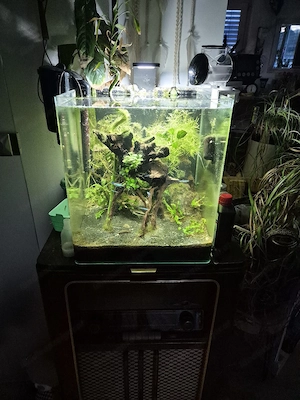 Aquarium 60L 