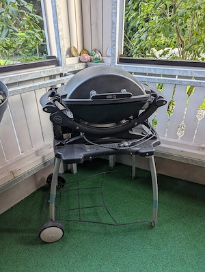 Weber Elektro Grill Bild 2