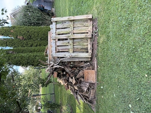 Holz zu verschenken  Bild 2