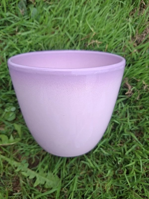 Blumentopf Violett